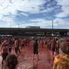 jessearnett525 - @jessearnett525 - TikTok