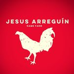 Jesse Arreguin Lopez - @jesusarreguingamefowlfarm - Instagram