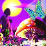 Jesse Ashlock - Facebook