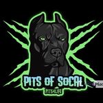 Jesse audet - @pits_of_socal - Instagram