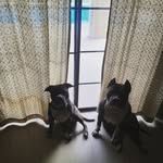 Jesse Aviles - @jesse_aviles_ - Instagram