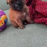 Jesse Aviles - @jesse.aviles.1023 - Instagram