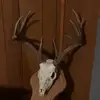 DBDBONETHUG - @jesseayers2 - TikTok