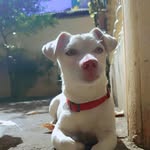 Jesse Baez - @thejessebaez - Instagram