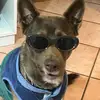 Jessito - @jessebaezzz - TikTok