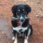 Jesse Bailey - @jumper1420 - Instagram