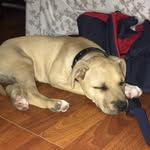 Jesse.ball - @jesse.ball29 - Instagram