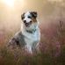 Jesse Zoey Palmer - Facebook