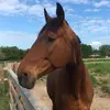 jess.barfield - @jess.barfield - TikTok