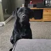 jessebarnard429 - @jessebarnard429 - TikTok