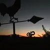 Jesse Barton - @jesse.barton1 - TikTok