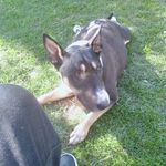 Jesse Barton - @jesse.barton.56863 - Instagram