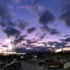 Jessie Basham - @jessie.basham5 - TikTok