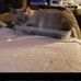 Jesse Batten - Facebook