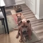 Jesse Battle - Facebook