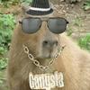 Jess Bayless - @jessbayless4 - TikTok