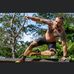 Jesse Beam - Facebook