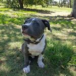 Jesse Beaman - @jesse.beaman.5 - Instagram