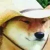 Jesse_Beaner - @jbert7 - TikTok