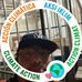 Jesse Bear - Facebook