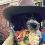 Jesse Bear - @jesse_bear33 - Instagram