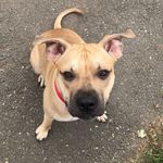 Jesse - @jesse__bear - Instagram