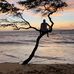 Jesse Bearden - Facebook
