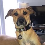 Jesse Adams-Beavers - @ab_jesse - Instagram
