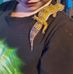 Jesse Beavers - Facebook