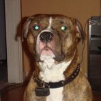 Jesse Bedard - Facebook