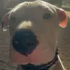 Jesse Bennett - @jesse.bennett - TikTok