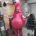 Jesse Blades - Facebook