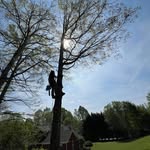 Jesse Blaha - @jesseblaha - Instagram