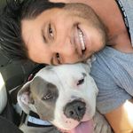 Jesse Blum - @nyla_theprincesspitbull - Instagram