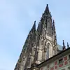 Jesse Bluml - @jessebluml - TikTok