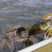 Jesse Blunt - Facebook