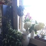 Jesse Maguire Bolt - @_room_and_bolt_ - Instagram