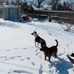 Jesse Boring - Facebook