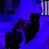 jesse.is.boring - @jesse.is.boring - TikTok