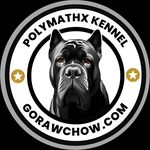 Jesse Boyd - @polymathx_kennel - Instagram
