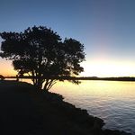 Jesse Brady - @jessebrady2 - Instagram