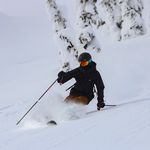 Jesse Brady - @jessebrady7 - Instagram