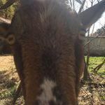 Jesse Brady - @_jessebrady_ - Instagram