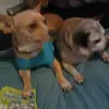 Jesse.brady - @jesse.brady - TikTok