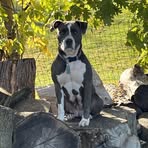 Jesse Brannan - Facebook