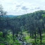 Jesse Bratton - @martyrmkr - Instagram