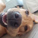 Jesse Brenner - @jessebrenner_ - Instagram