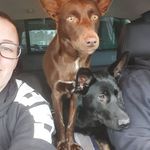 Jessie & Bronson - @jessieandbronson - Instagram