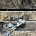 Jesse Brownell - @brownelljesse - Instagram