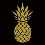 Jesse Brumbaugh - @pineappledayparty - Instagram